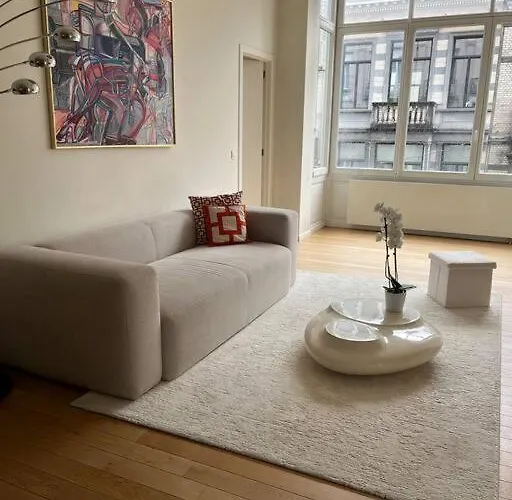 Superbe Appartement Bruxellois
