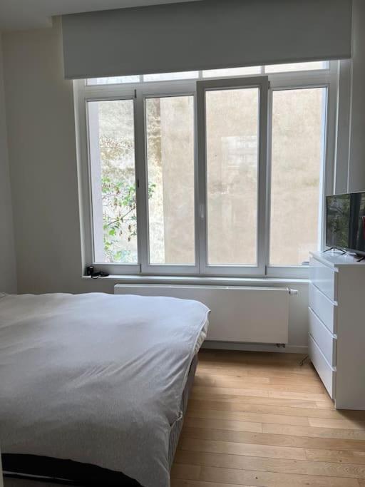 Superbe Bruxellois Apartment Brussels